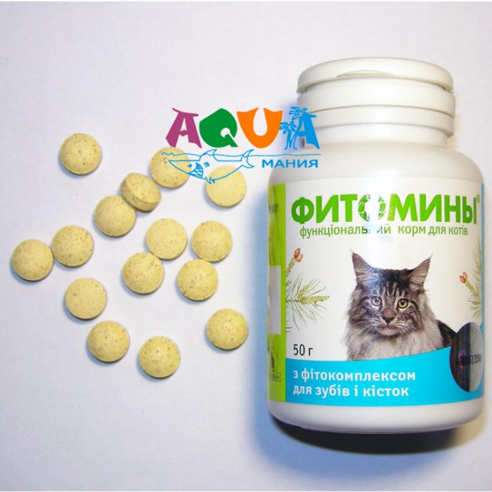 Витамины для беременных кошек. Витамины для кошек. Витамины для кошек в таблетках. Витамины для котят для костей. Витамины для суставов для кошек.
