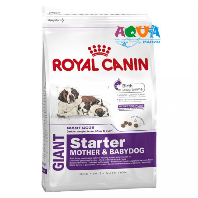 Royal Canin GIANT STARTER